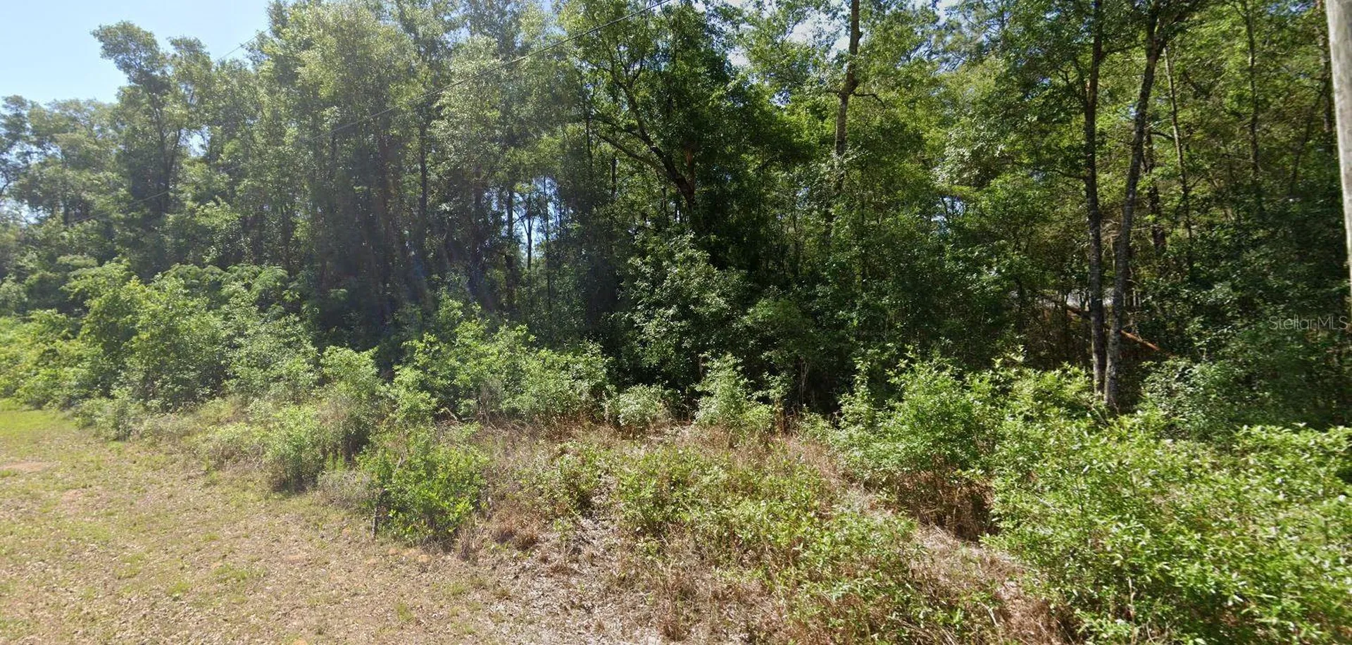 00 SW Starling Drive Dunnellon FL 34431
