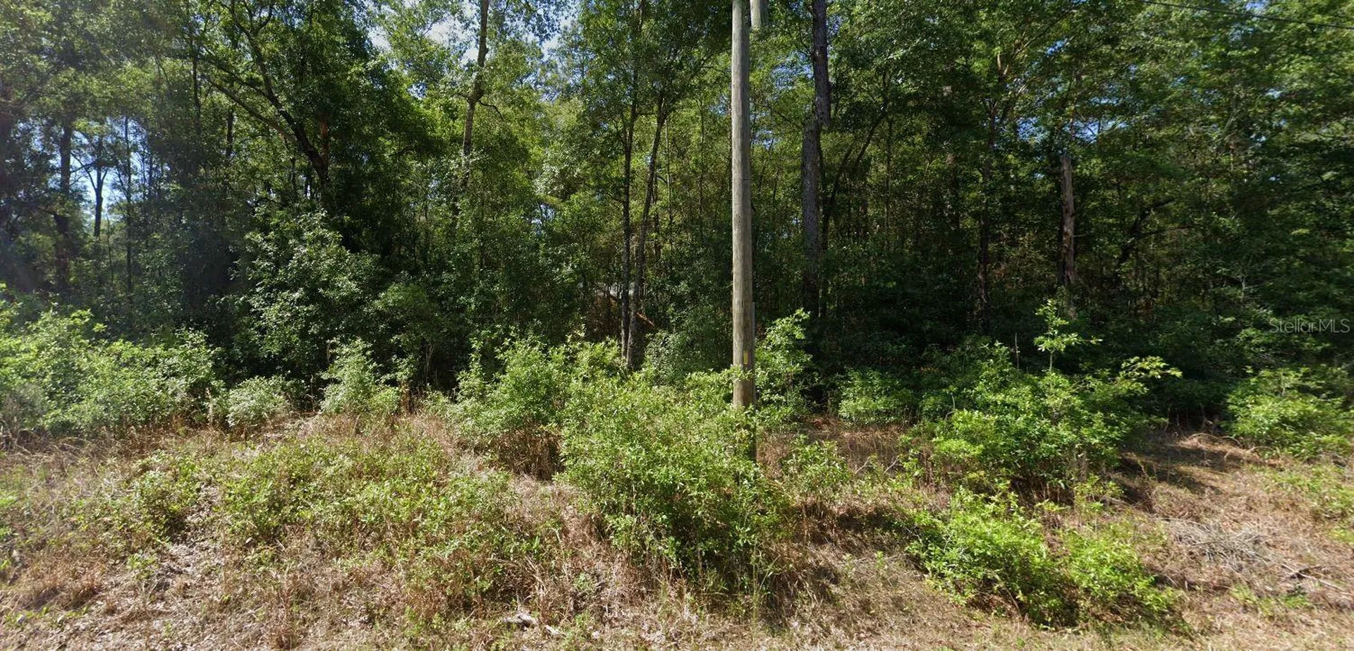 00 SW Starling Drive Dunnellon FL 34431