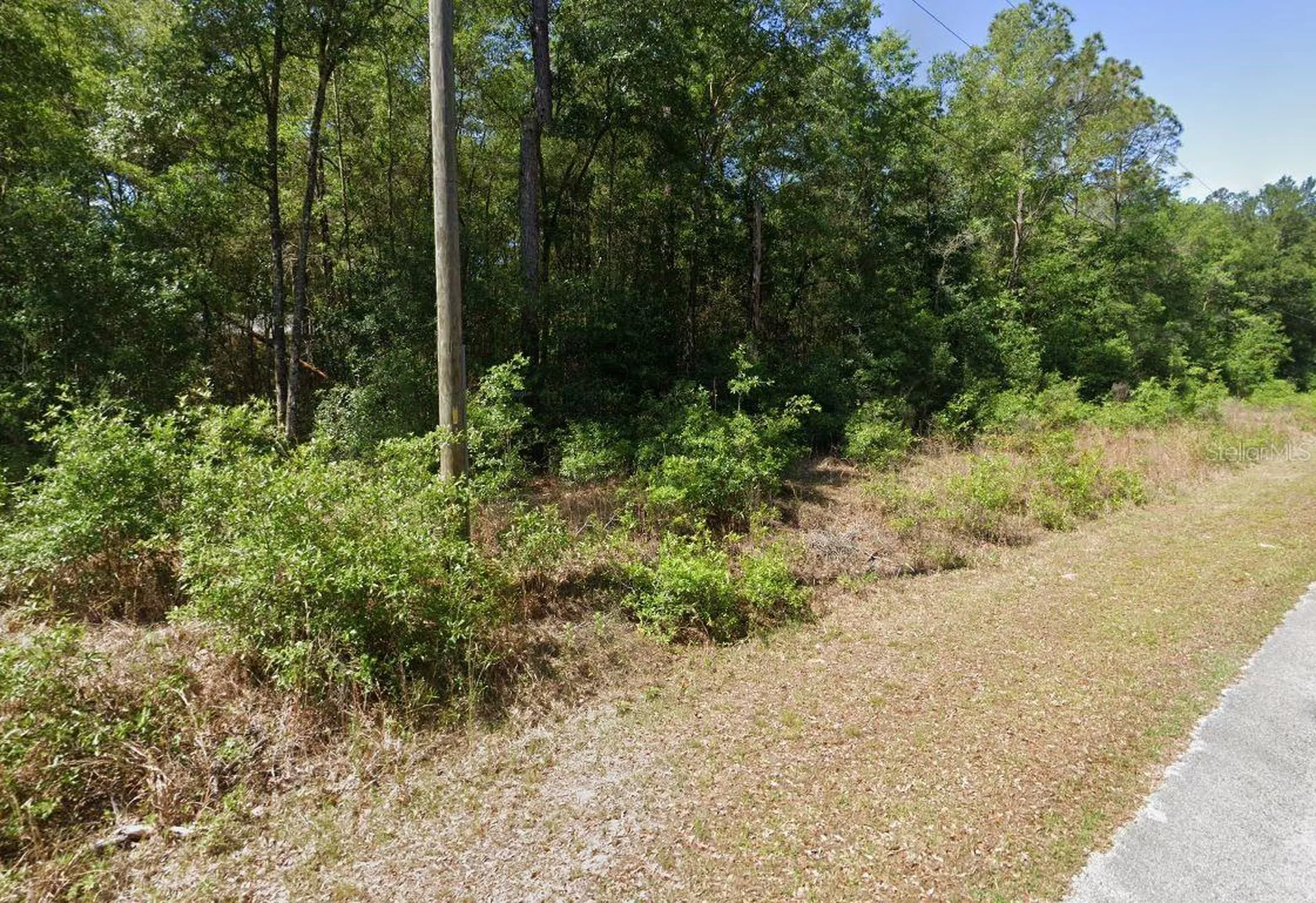 00 SW Starling Drive Dunnellon FL 34431