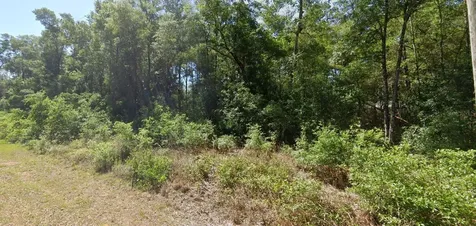 00 SW Starling Drive Dunnellon FL 34431