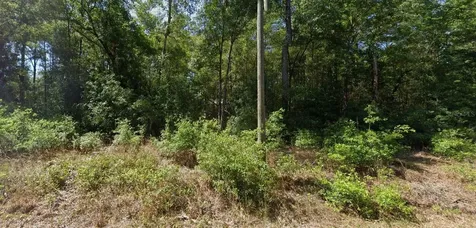 00 SW Starling Drive Dunnellon FL 34431