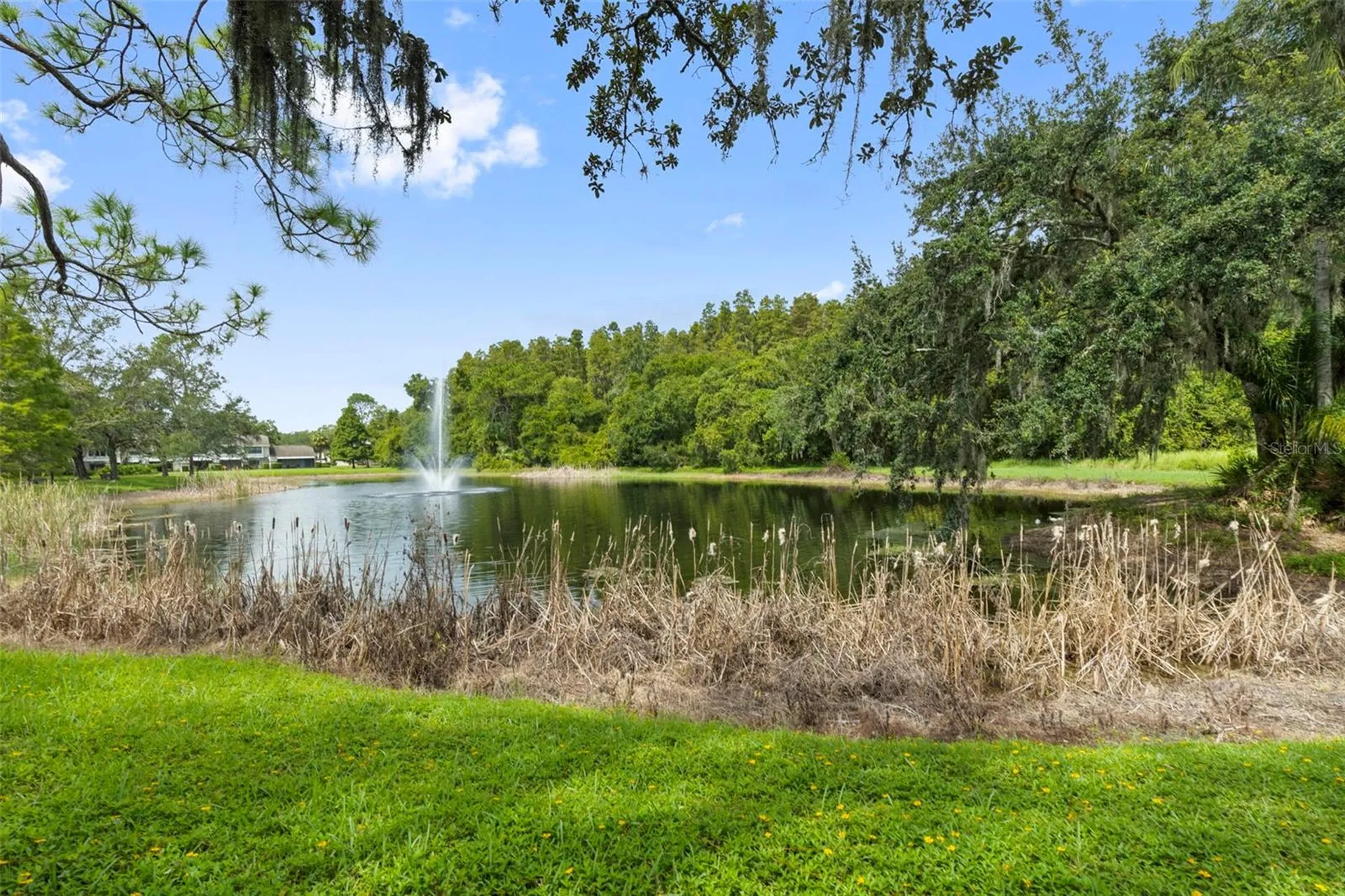 5100 Burchette Road Tampa FL 33647