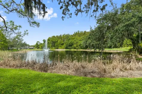 5100 Burchette Road Tampa FL 33647