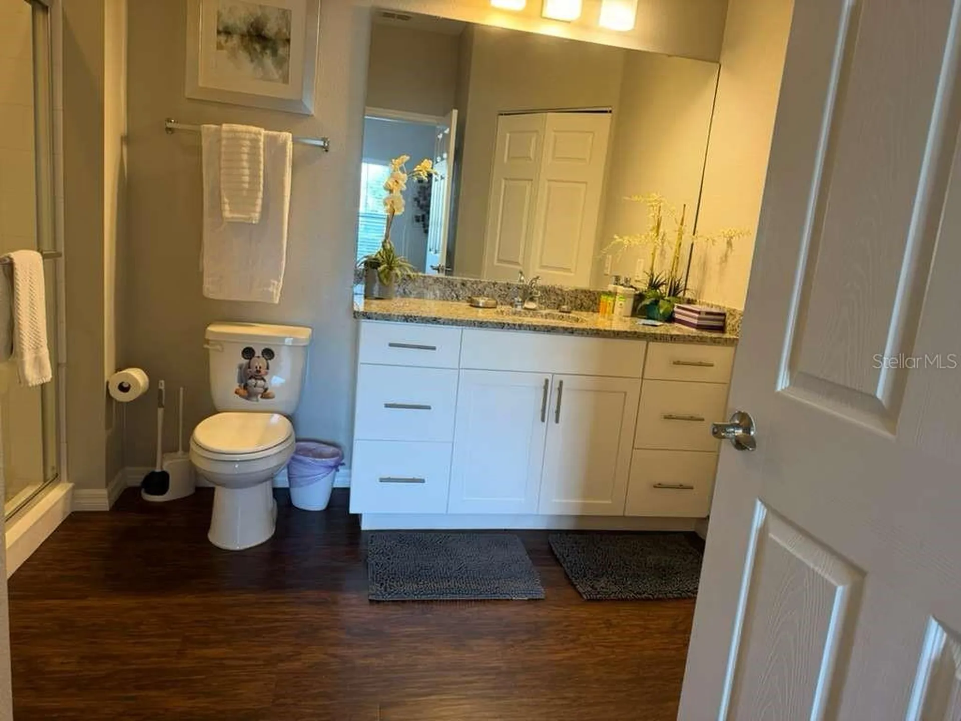 9008 Shine Drive Kissimmee FL 34747