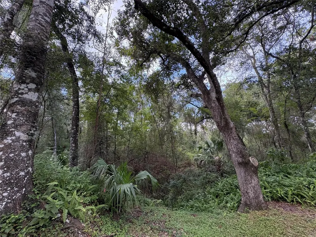 Lucilles Shady Lane Nobleton FL 34661