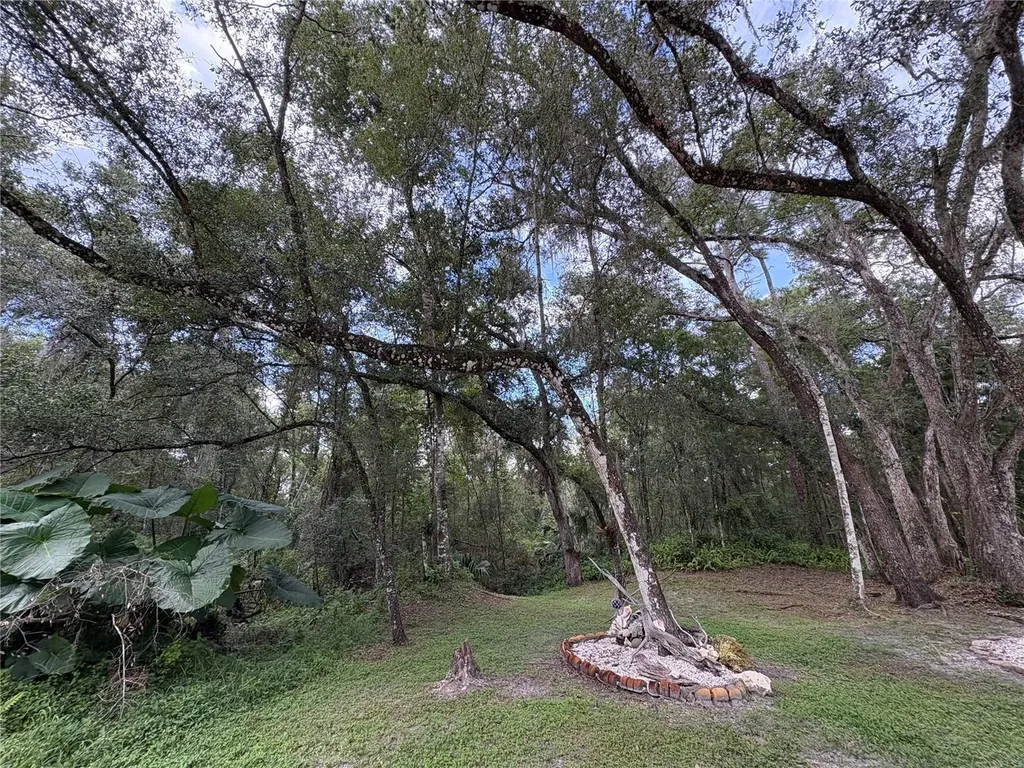Lucilles Shady Lane Nobleton FL 34661