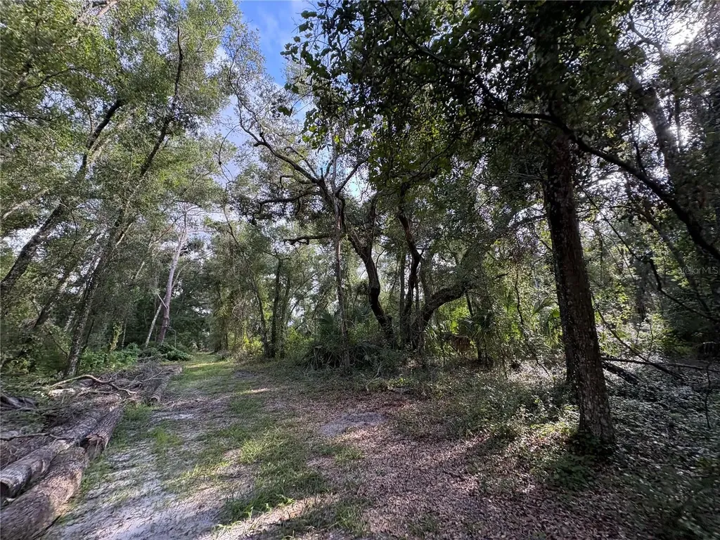 Lucilles Shady Lane Nobleton FL 34661