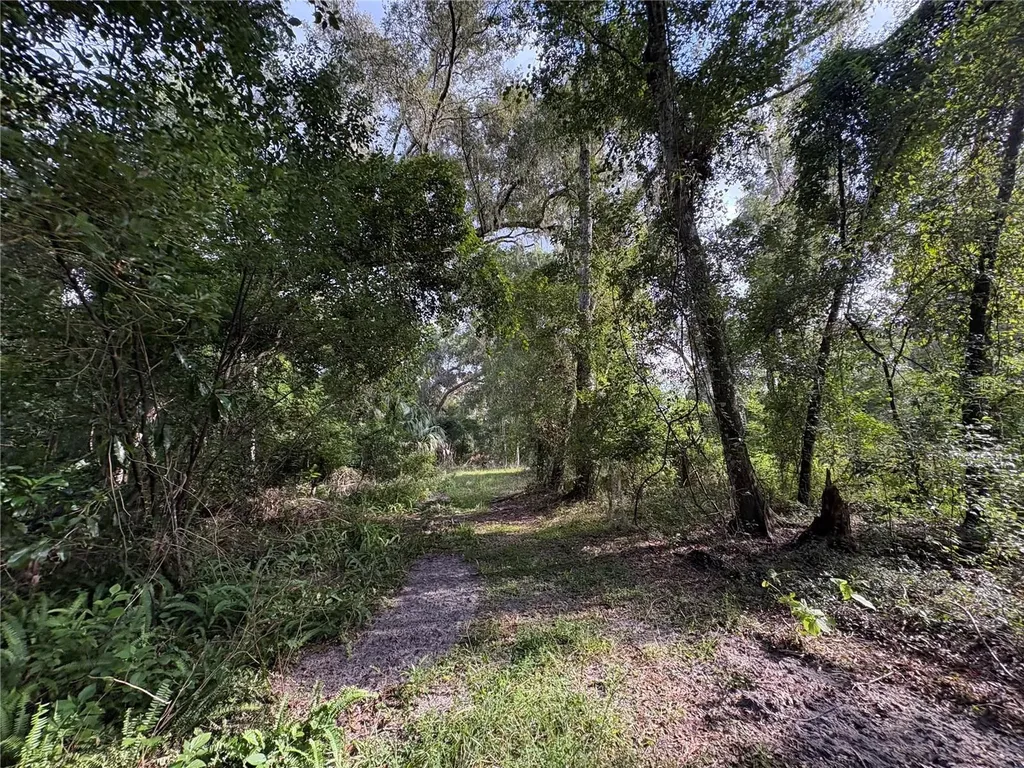 Lucilles Shady Lane Nobleton FL 34661
