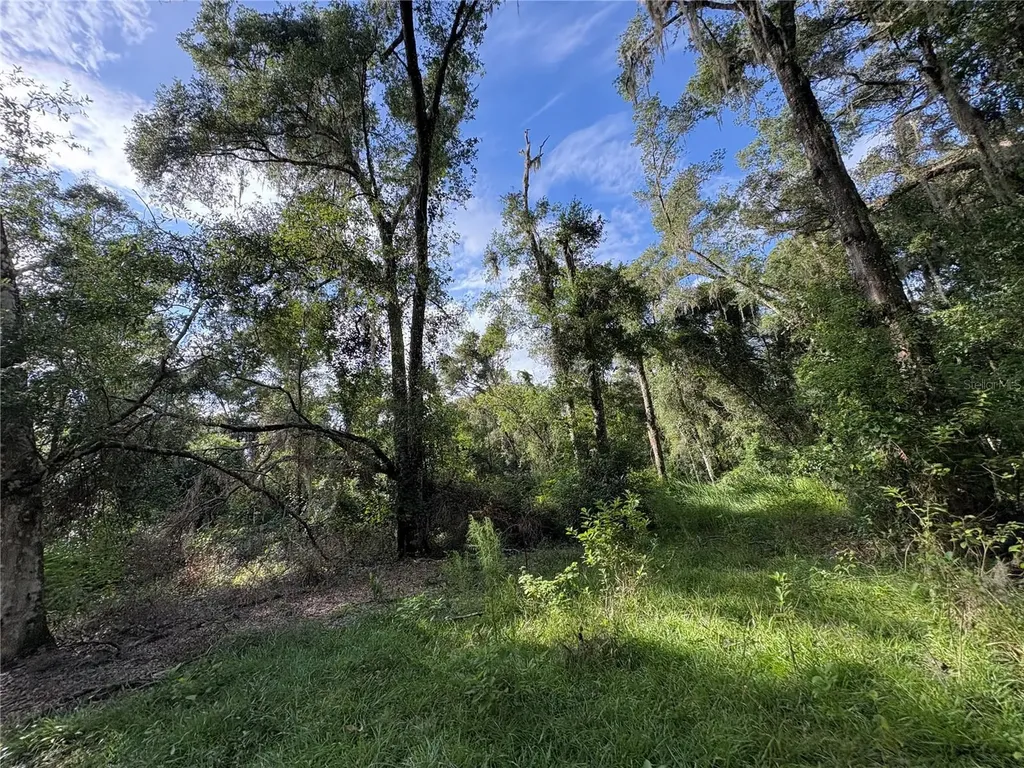 Lucilles Shady Lane Nobleton FL 34661