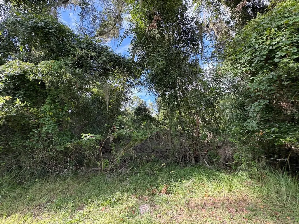 Lucilles Shady Lane Nobleton FL 34661