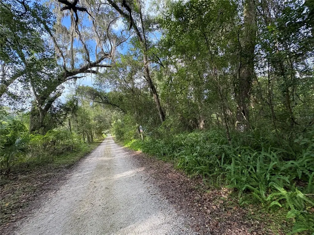 Lucilles Shady Lane Nobleton FL 34661