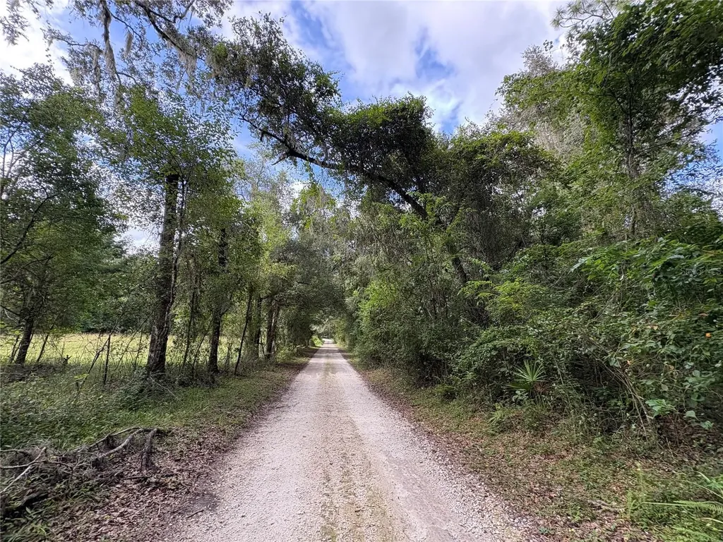 Lucilles Shady Lane Nobleton FL 34661