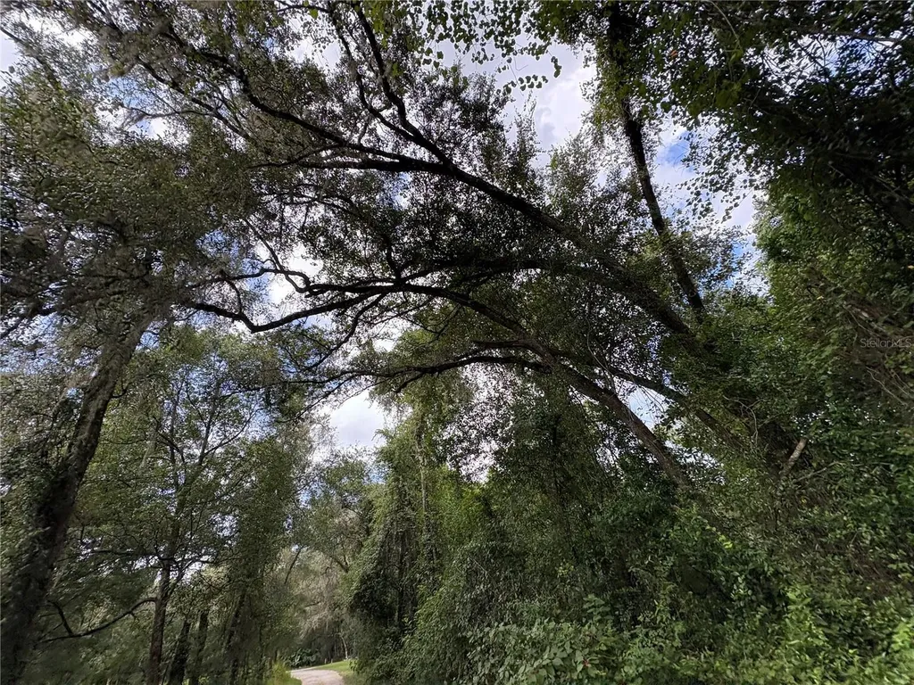 Lucilles Shady Lane Nobleton FL 34661