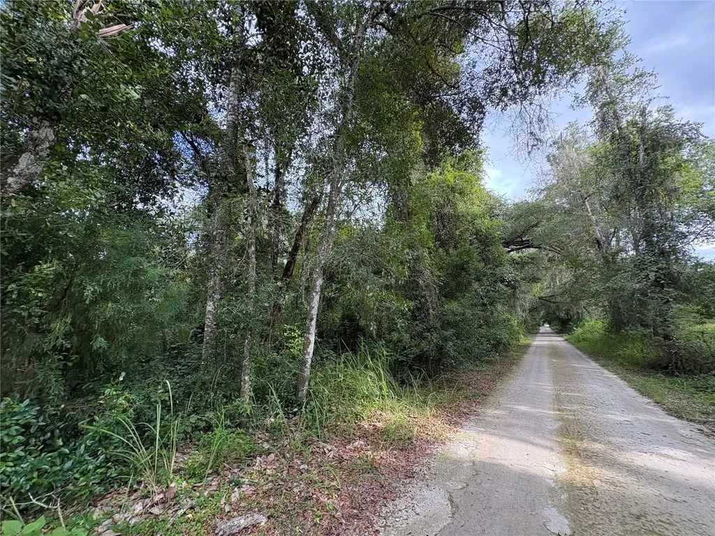 Lucilles Shady Lane Nobleton FL 34661