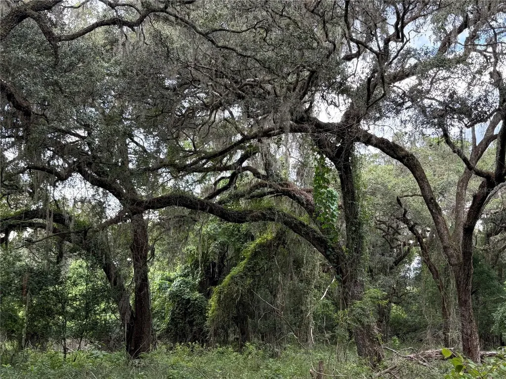 Lucilles Shady Lane Nobleton FL 34661