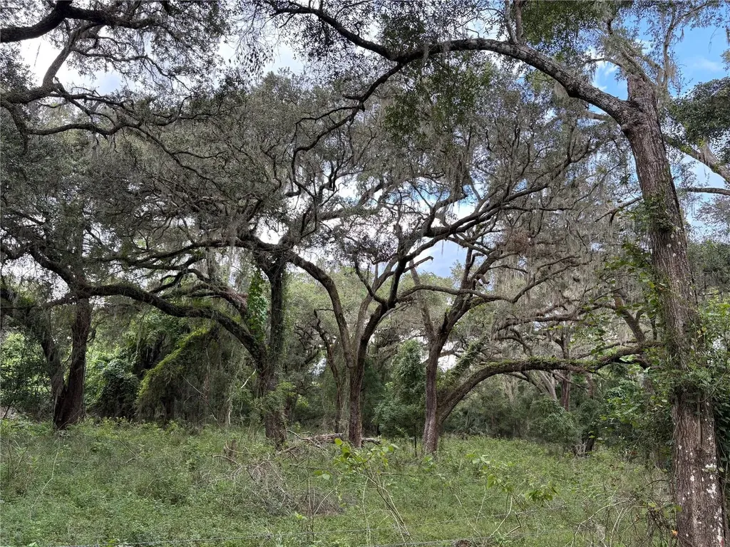 Lucilles Shady Lane Nobleton FL 34661