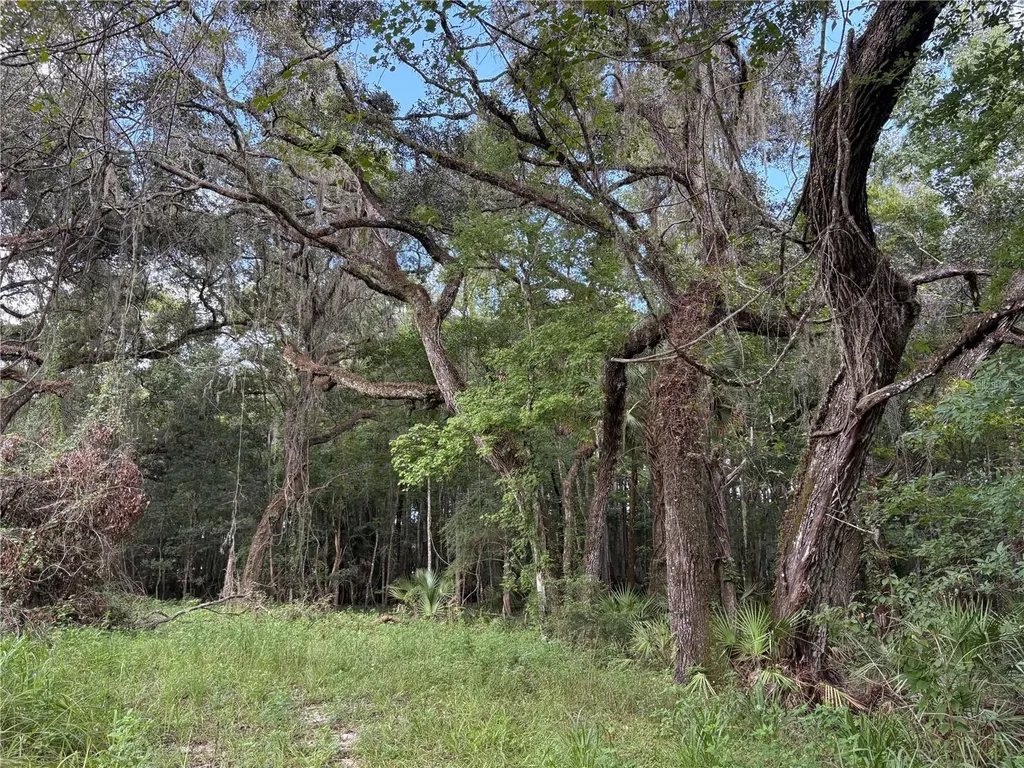 Lucilles Shady Lane Nobleton FL 34661