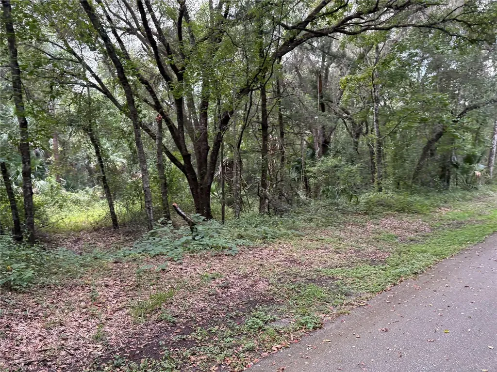 Lucilles Shady Lane Nobleton FL 34661