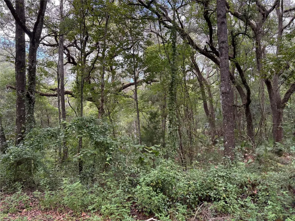 Lucilles Shady Lane Nobleton FL 34661