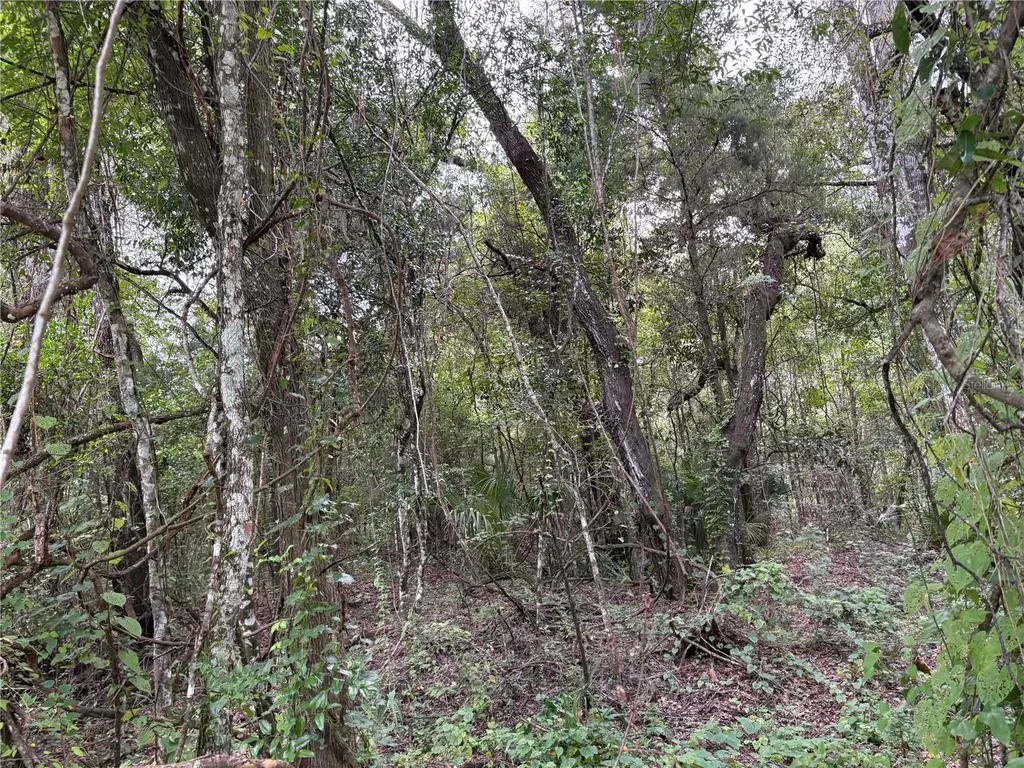 Lucilles Shady Lane Nobleton FL 34661