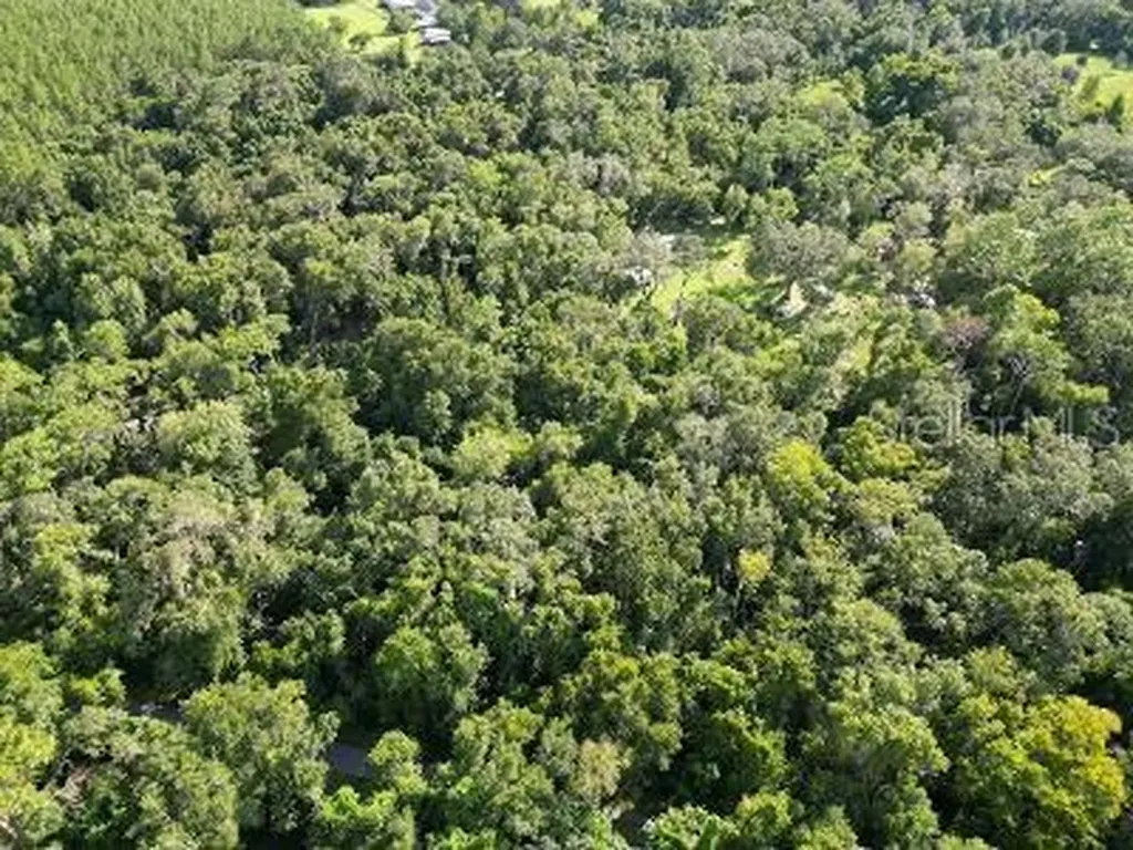 Lucilles Shady Lane Nobleton FL 34661