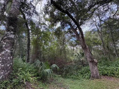 Lucilles Shady Lane Nobleton FL 34661