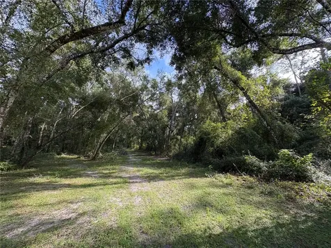 Lucilles Shady Lane Nobleton FL 34661