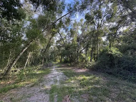 Lucilles Shady Lane Nobleton FL 34661