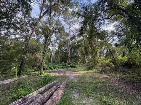 Lucilles Shady Lane Nobleton FL 34661