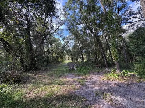 Lucilles Shady Lane Nobleton FL 34661
