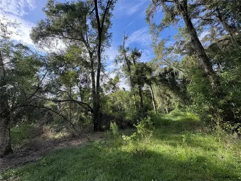 Lucilles Shady Lane Nobleton FL 34661
