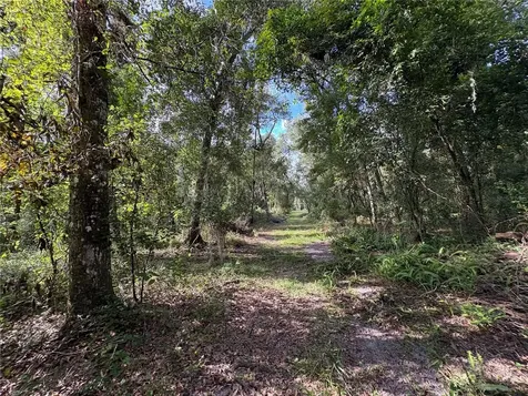 Lucilles Shady Lane Nobleton FL 34661