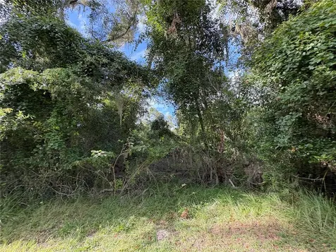 Lucilles Shady Lane Nobleton FL 34661