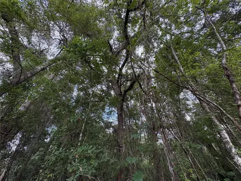 Lucilles Shady Lane Nobleton FL 34661