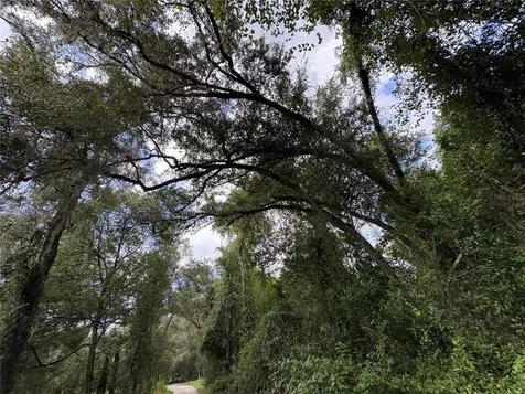 Lucilles Shady Lane Nobleton FL 34661
