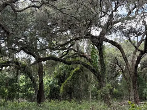 Lucilles Shady Lane Nobleton FL 34661
