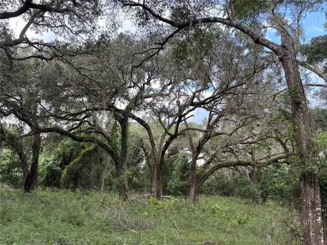 Lucilles Shady Lane Nobleton FL 34661