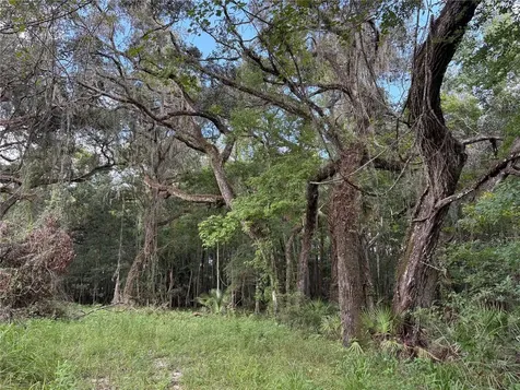 Lucilles Shady Lane Nobleton FL 34661