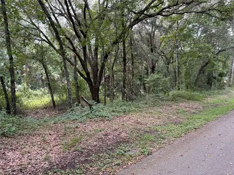 Lucilles Shady Lane Nobleton FL 34661