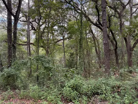 Lucilles Shady Lane Nobleton FL 34661