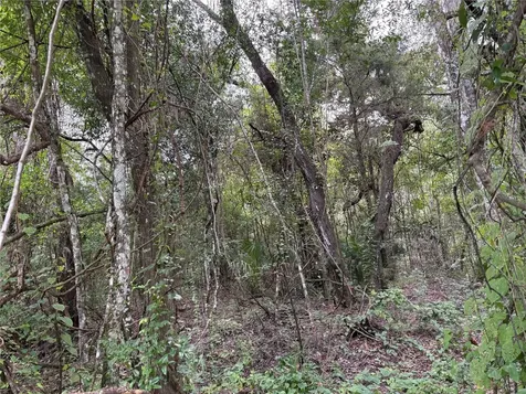 Lucilles Shady Lane Nobleton FL 34661