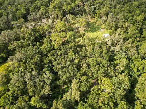Lucilles Shady Lane Nobleton FL 34661