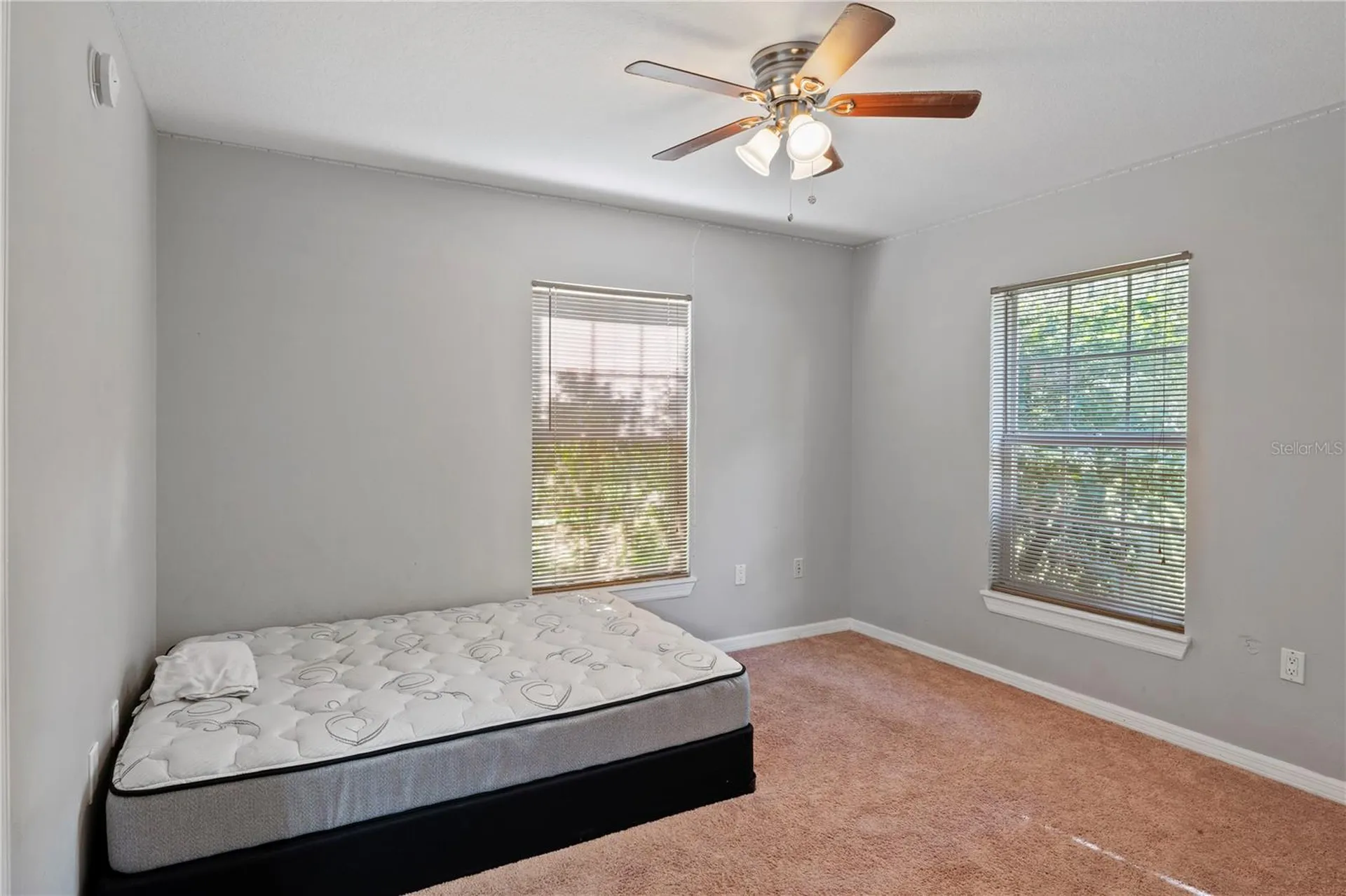 37351 Neighbors Path Zephyrhills FL 33542