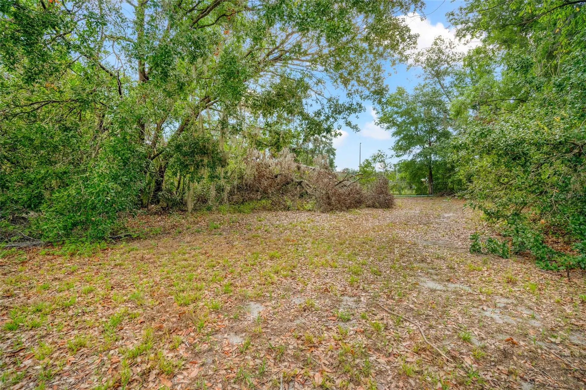 3611 W Reynolds Street Plant City FL 33563