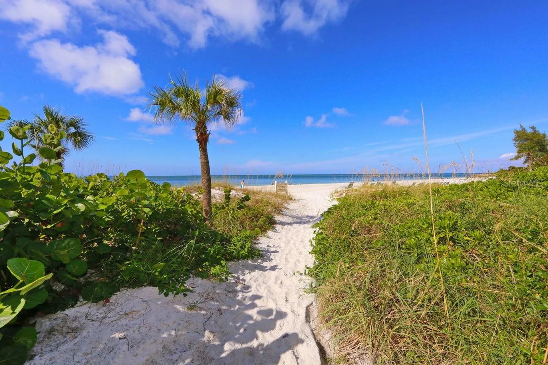 225 Hourglass Way Sarasota FL 34242