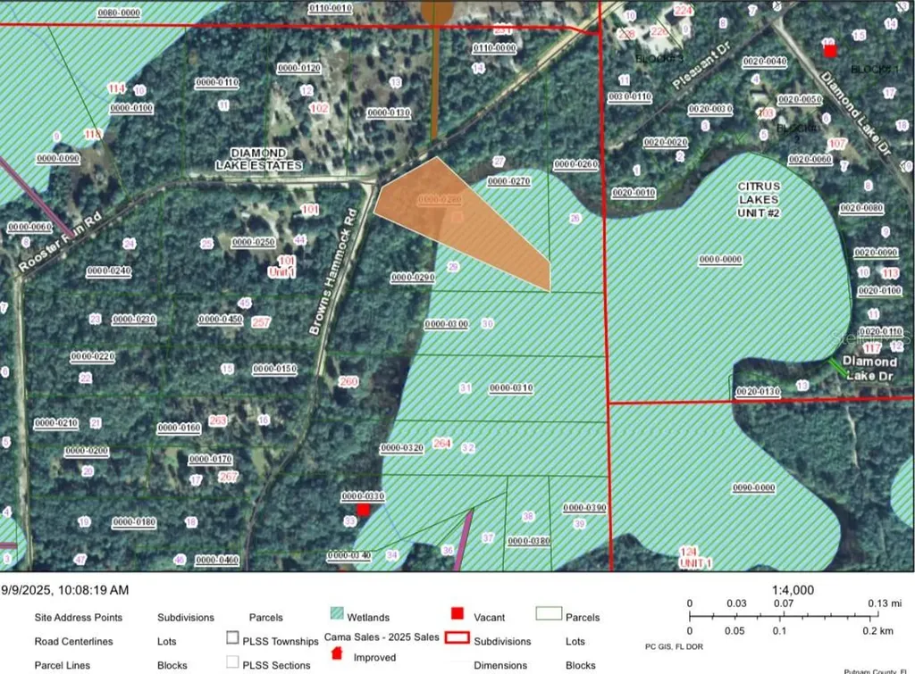 246 Browns Hammock Road Crescent City FL 32112