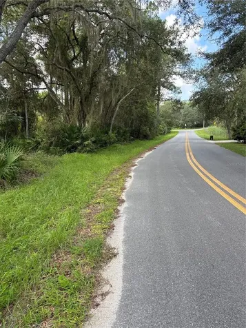 246 Browns Hammock Road Crescent City FL 32112