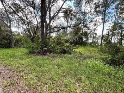 246 Browns Hammock Road Crescent City FL 32112