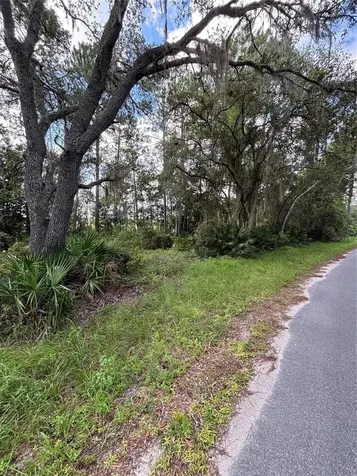 246 Browns Hammock Road Crescent City FL 32112