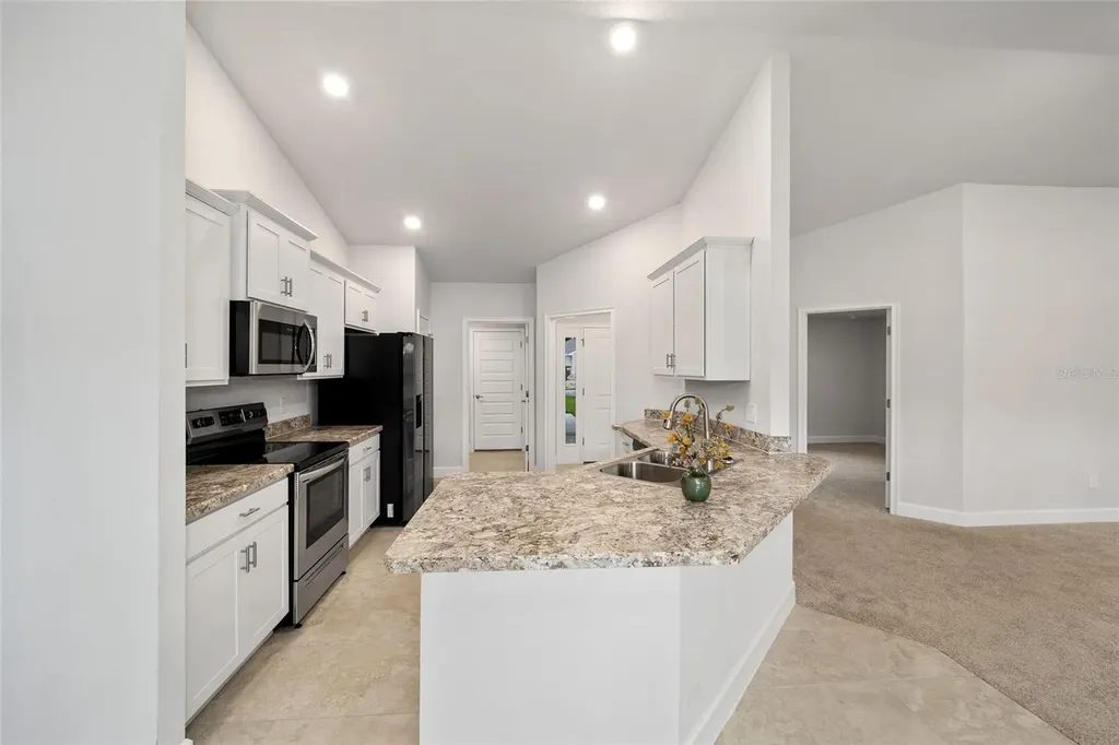 4099 NE 58th Circle Silver Springs FL 34488